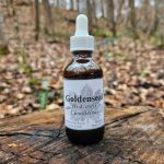 Goldenseal Root Tincture (hydrastis canadensis)