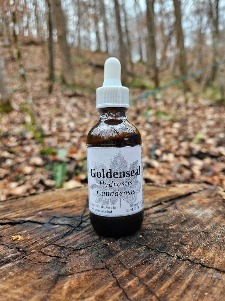 Goldenseal Root Tincture (hydrastis canadensis)