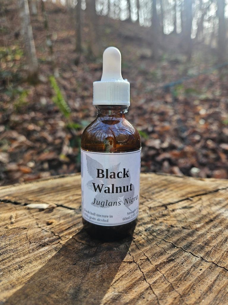 Black walnut hull tincture (juglans nigra)