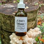 Lion's Mane Tincture (Hericium Americanum)