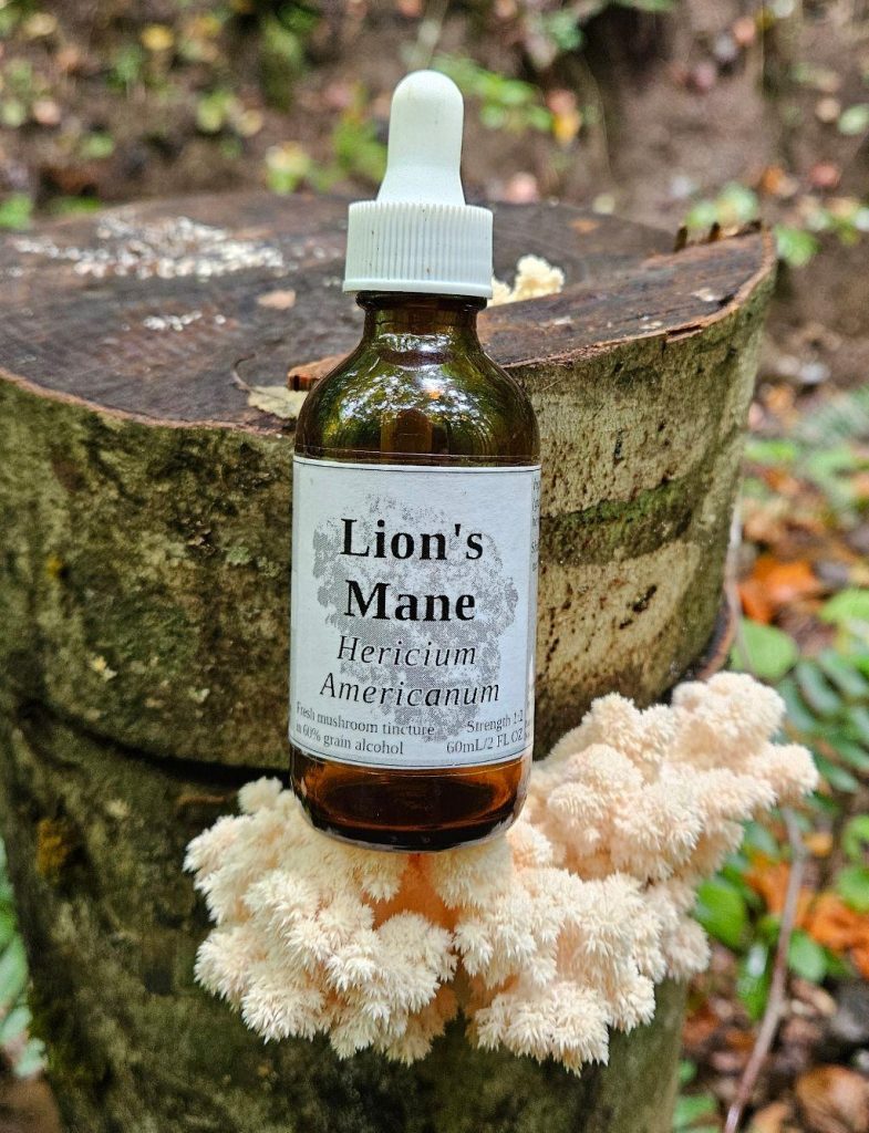Lion's Mane Tincture (Hericium Americanum)