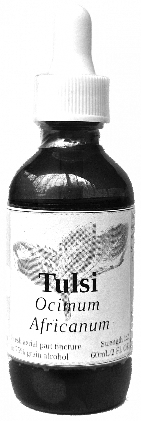 Tulsi Aerial Parts Tincture (ocimum africanum) - Image 2