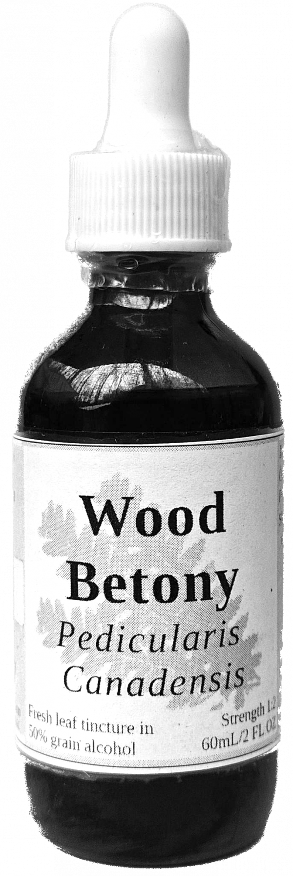 Wood Betony Leaf Tincture (Pedicularis Canadensis) - Image 3