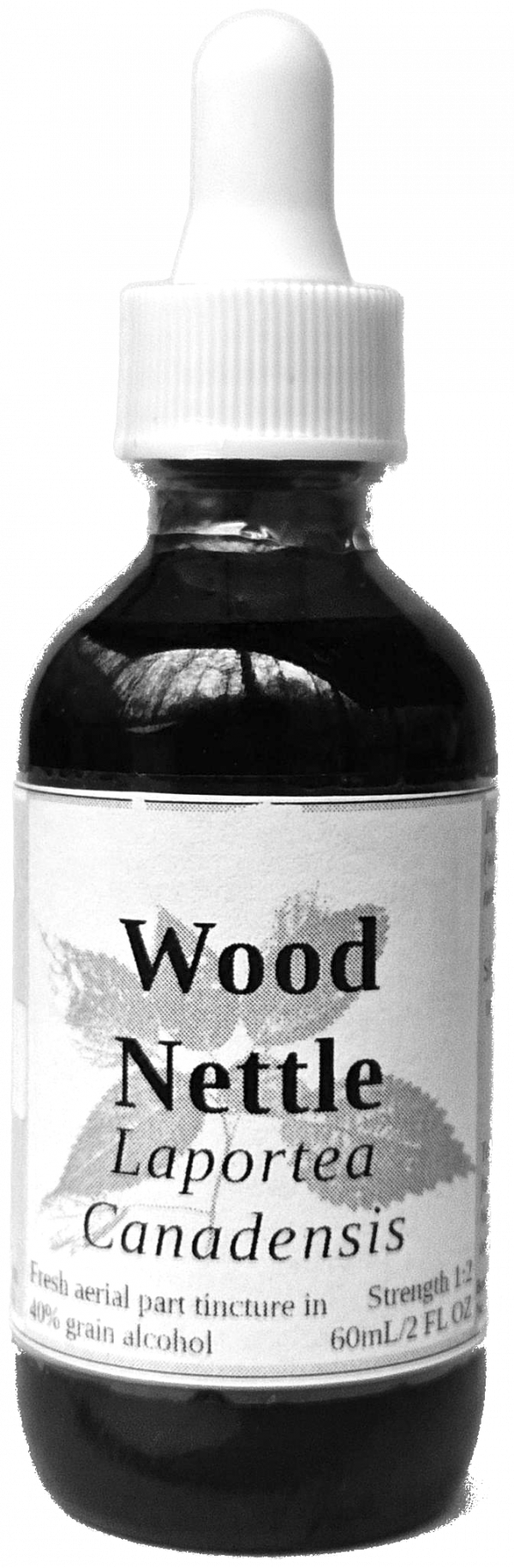 Wood Nettle Tincture (Laportea Canadensis) - Image 2