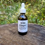 Wild Ginger Root & Leaf Tincture (asarum canadense)