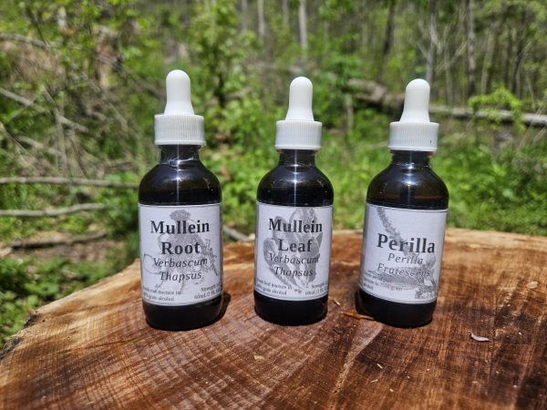 Perilla Aerial Parts Tincture (Perilla Frutescens) - Image 3
