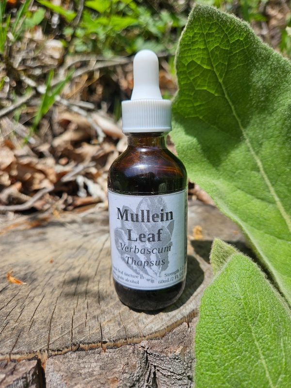 Mullein Leaf Tincture (Verbascum Thapsus)