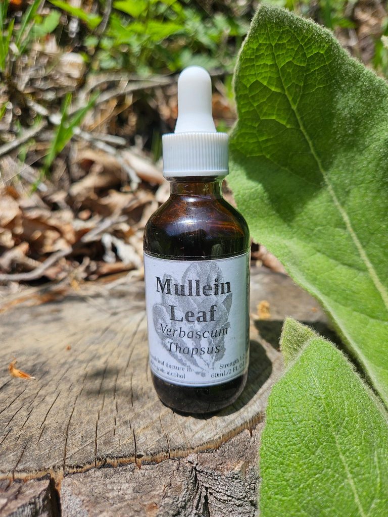 Mullein Leaf Tincture (Verbascum Thapsus)