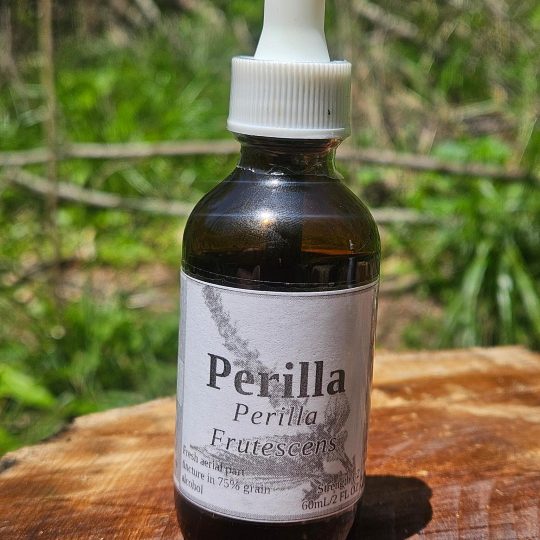 Perilla Aerial Parts Tincture (Perilla Frutescens)