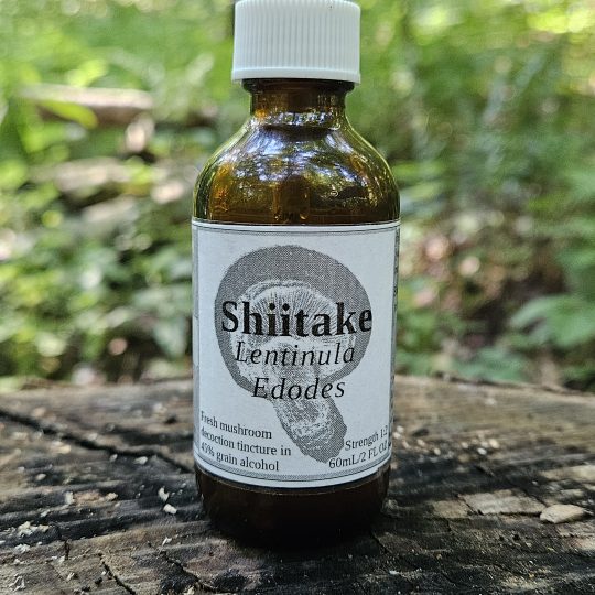Shiitake mushroom decoction tincture (Lentinula edodes)
