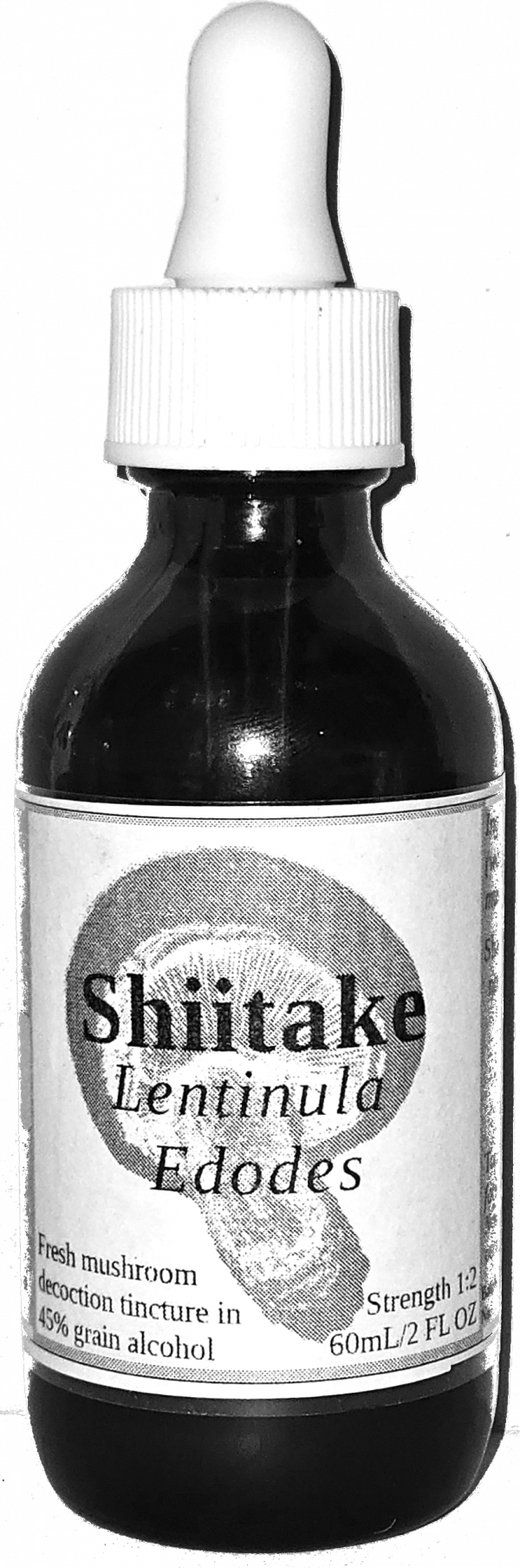 Shiitake mushroom decoction tincture (Lentinula edodes) - Image 2