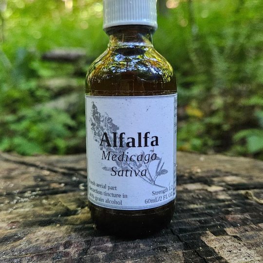Alfalfa Aerial Parts Decoction Tincture (Medicago sativa)