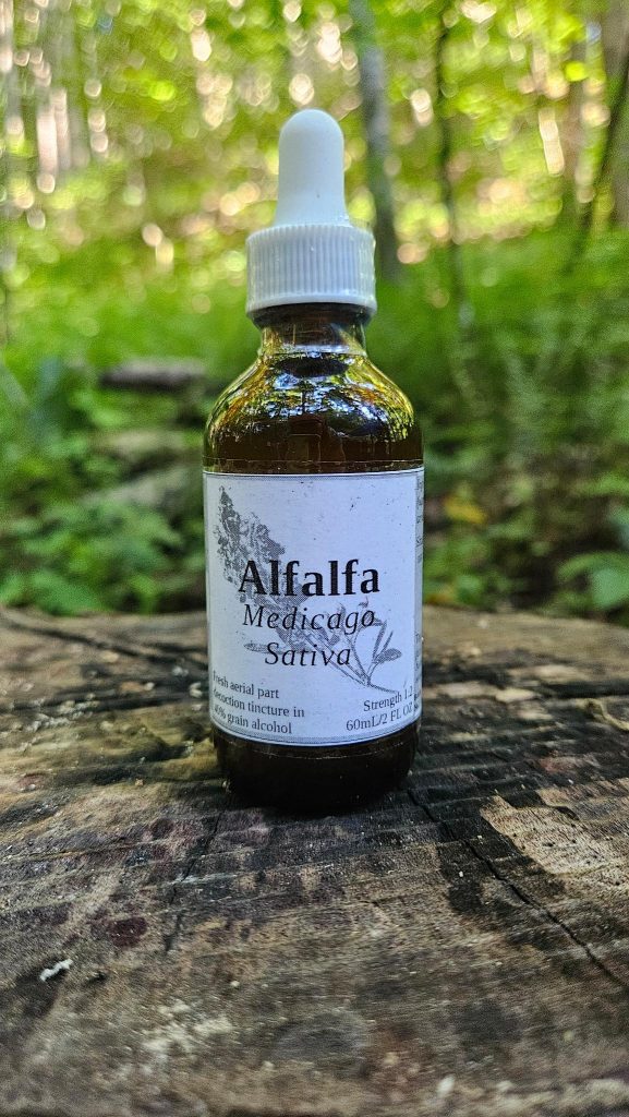 Alfalfa Aerial Parts Decoction Tincture (Medicago sativa)