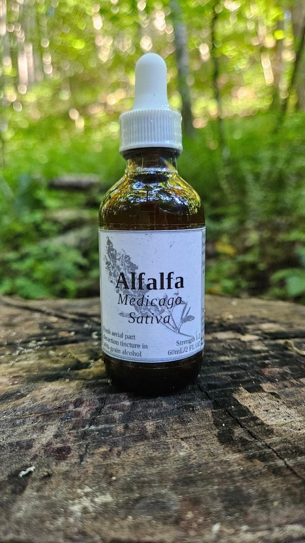 Alfalfa Aerial Parts Decoction Tincture (Medicago sativa)