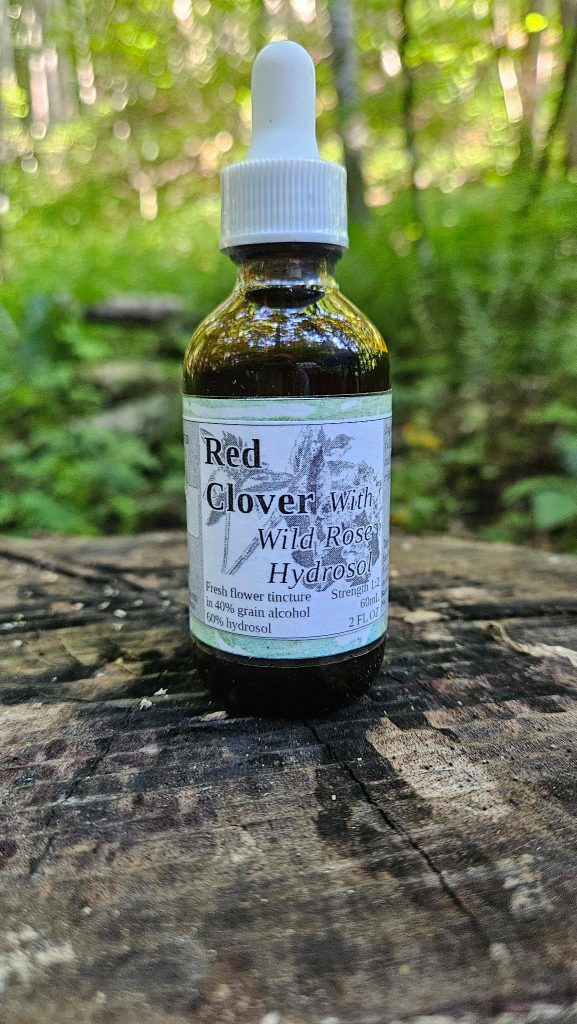 Red Clover Tincture With Wild Rose Hydrosol