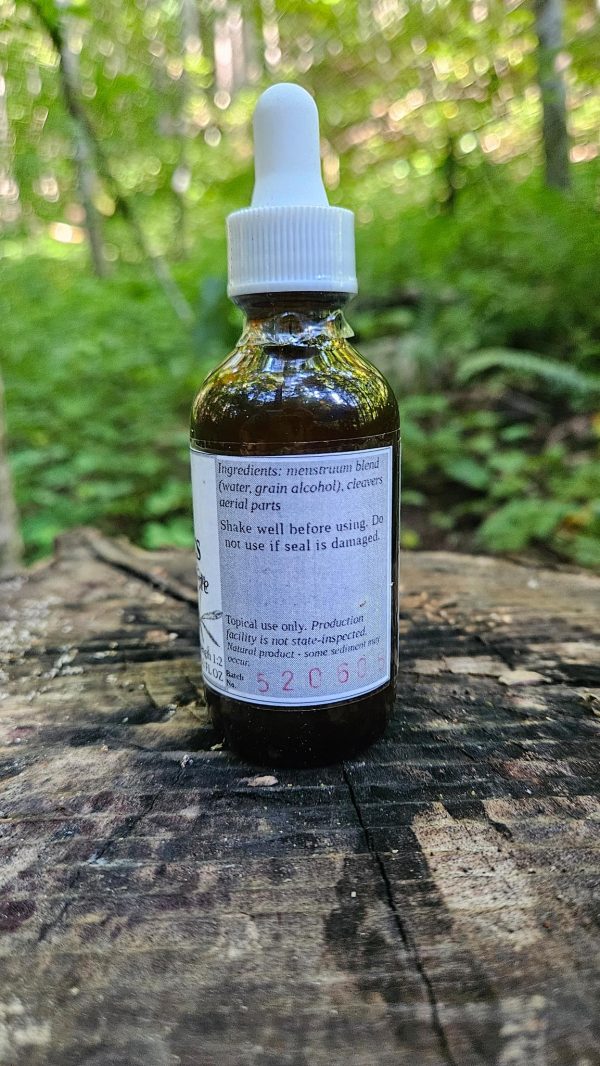 Cleavers aerial parts with green seed tincture (galium aparine) - Image 2