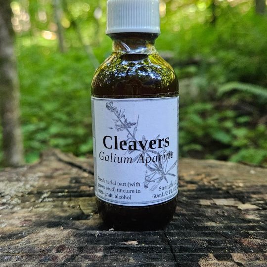 Cleavers aerial parts with green seed tincture (galium aparine)