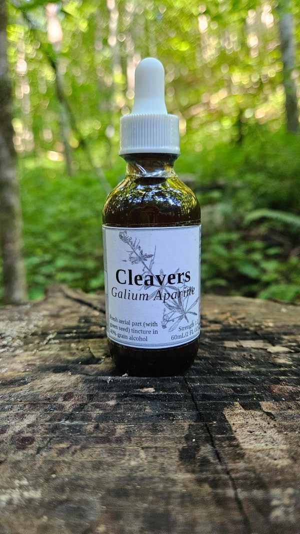 Cleavers aerial parts with green seed tincture (galium aparine)