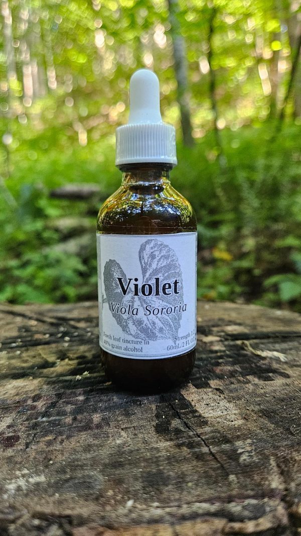 Violet Leaf Tincture (Viola Sororia)