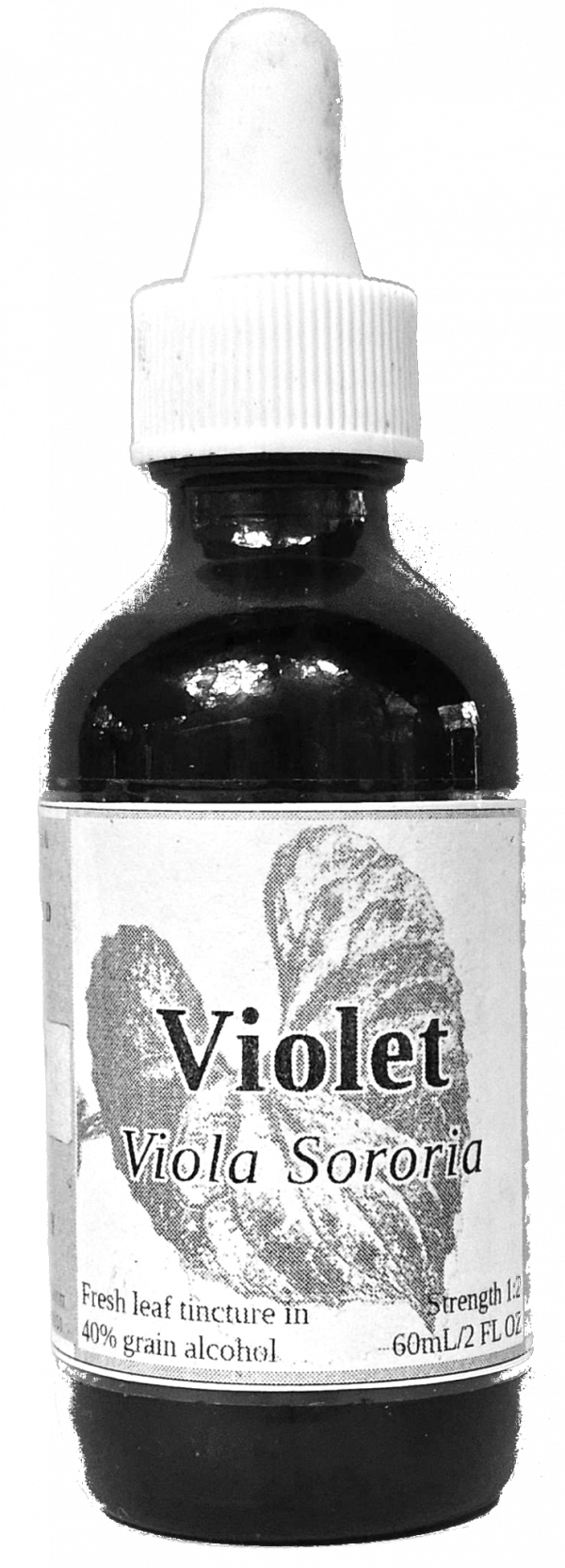 Violet Leaf Tincture (Viola Sororia) - Image 4