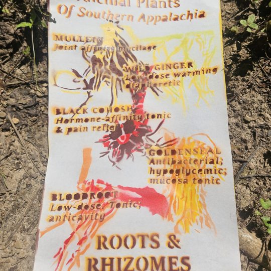 Roots & Rhizomes Poster [PREORDER]