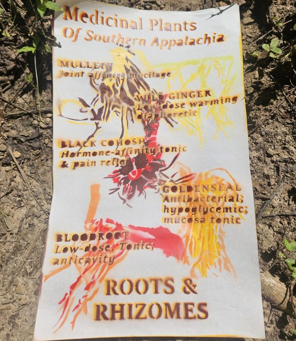 Roots & Rhizomes Poster [PREORDER]