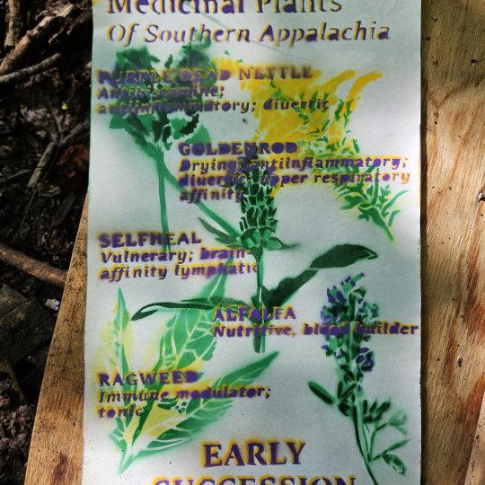 Early Succession Poster [PREORDER]