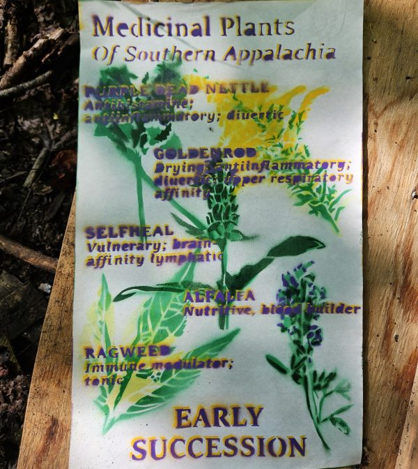 Early Succession Poster [PREORDER]