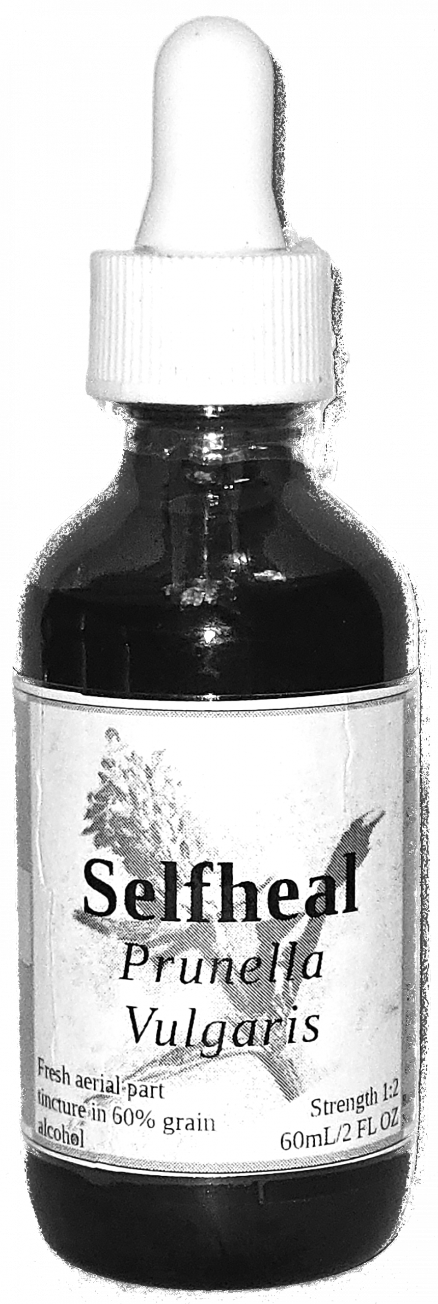 Selfheal Aerial Parts Tincture (Prunella Vulgaris) - Image 3
