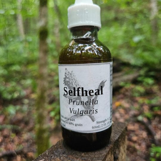 Selfheal Aerial Parts Tincture (Prunella Vulgaris)