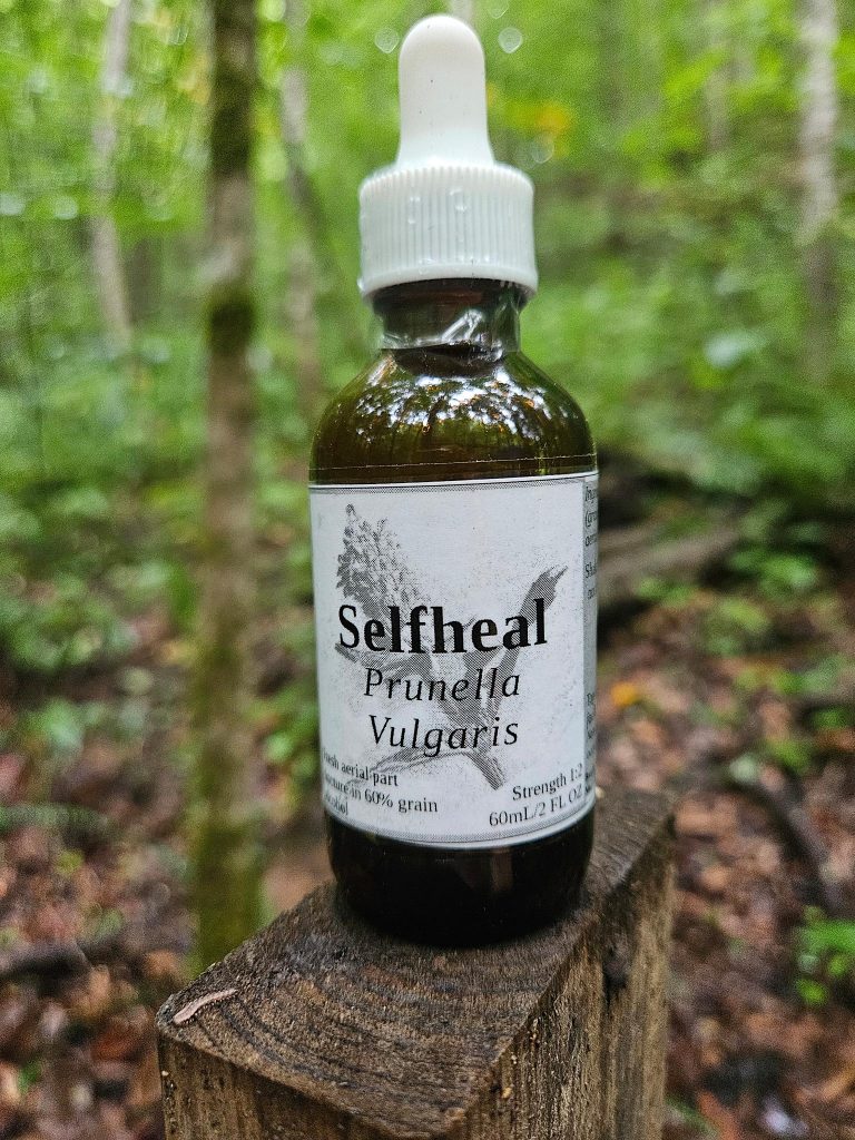 Selfheal Aerial Parts Tincture (Prunella Vulgaris)